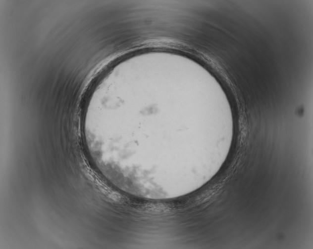 X0000115590931200912081046