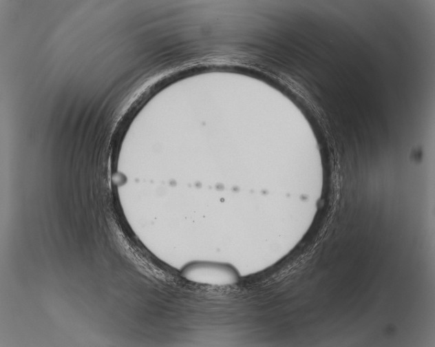 X0000115590934200912081046