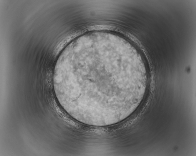 X0000115590937200912081046