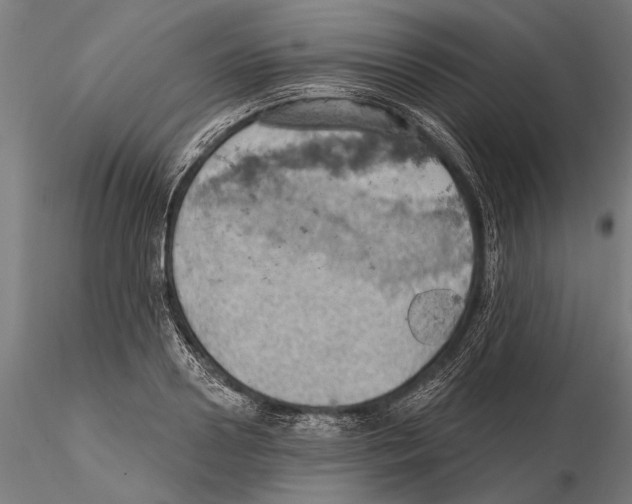 X0000115590938200912081046