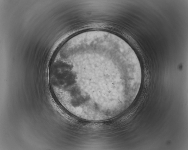 X0000115590939200912081046