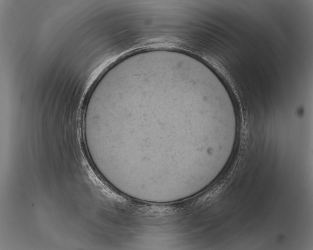 X0000115590941200912081046