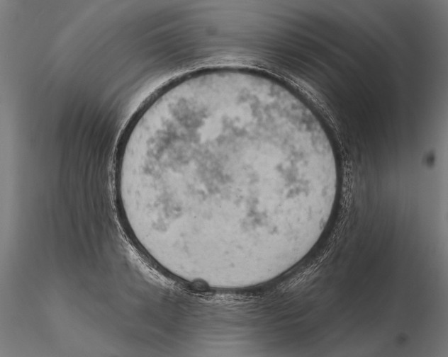 X0000115590942200912081046