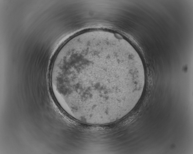 X0000115590943200912081046