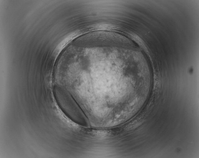X0000115590946200912081046