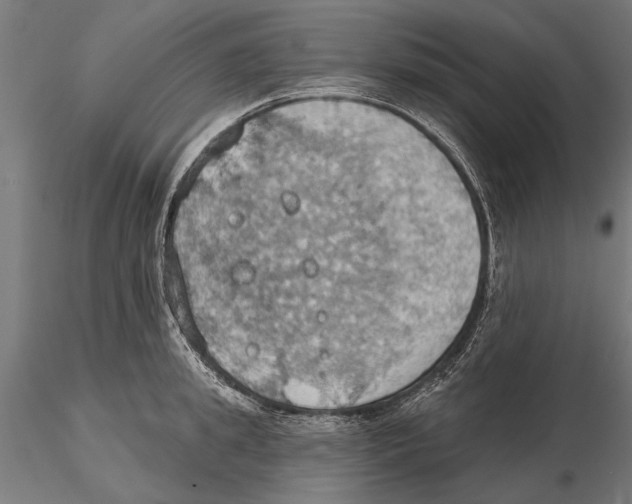 X0000115590949200912081046