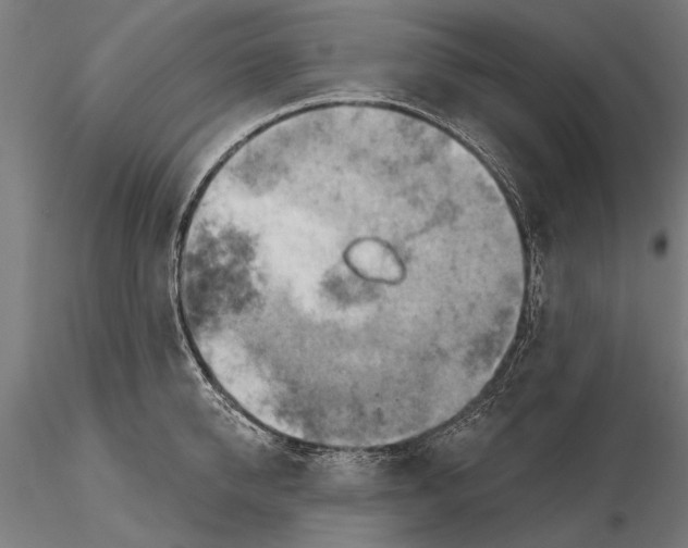 X0000115590950200912081046