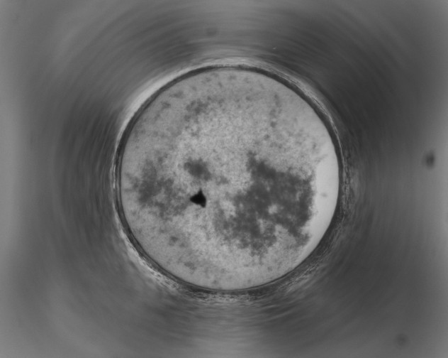X0000115590951200912081046