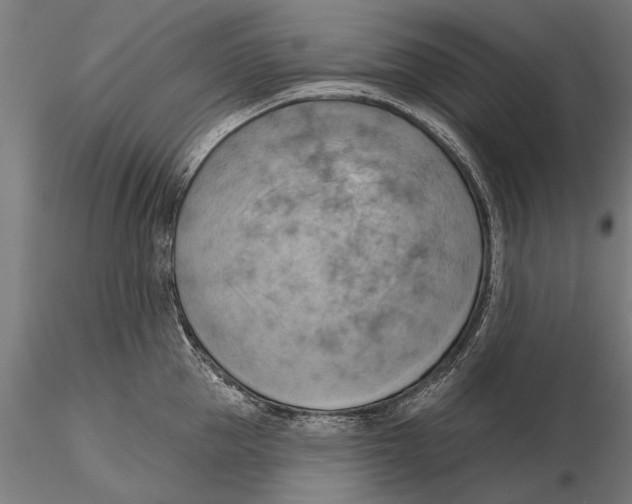X0000115590953200912081046