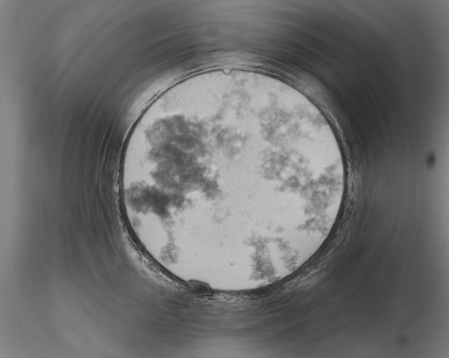 X0000115590954200912081046