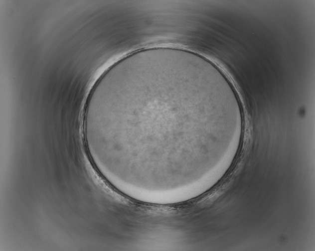 X0000115590957200912081046