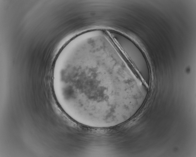X0000115590958200912081046