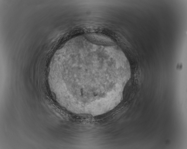 X0000115590961200912081045