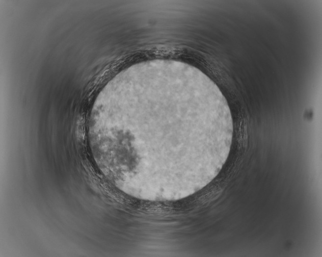 X0000115590962200912081045