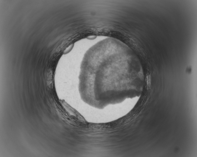 X0000115590963200912081045