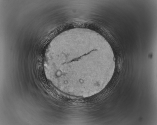 X0000115590964200912081045