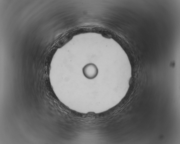 X0000115590965200912081045