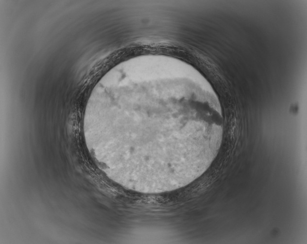 X0000115590966200912081045