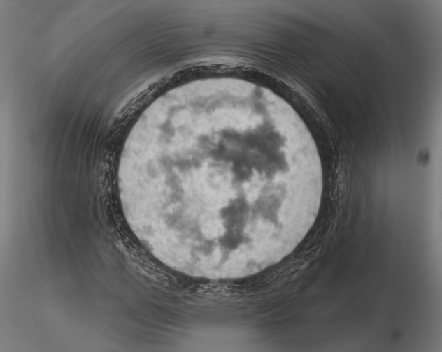 X0000115590967200912081045