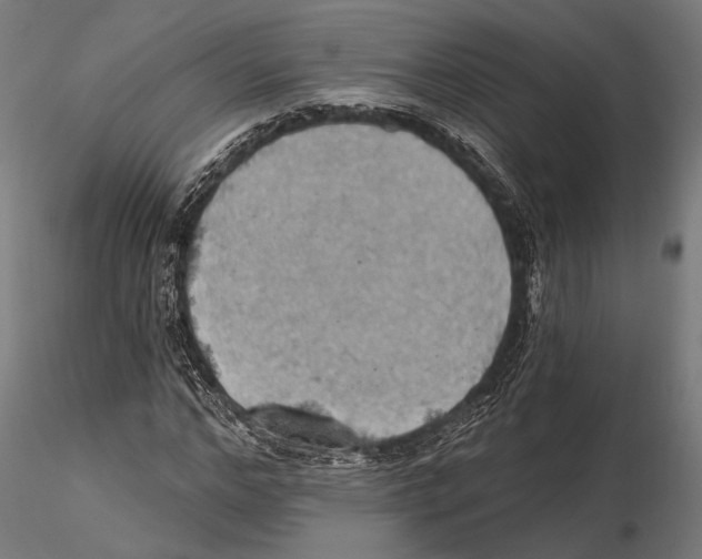 X0000115590968200912081045
