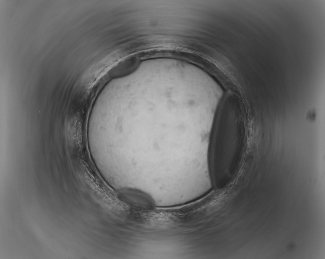 X0000115590969200912081045