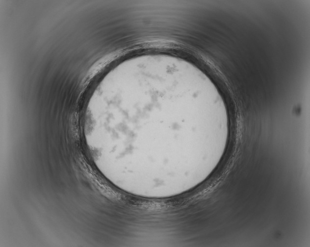 X0000115590970200912081045