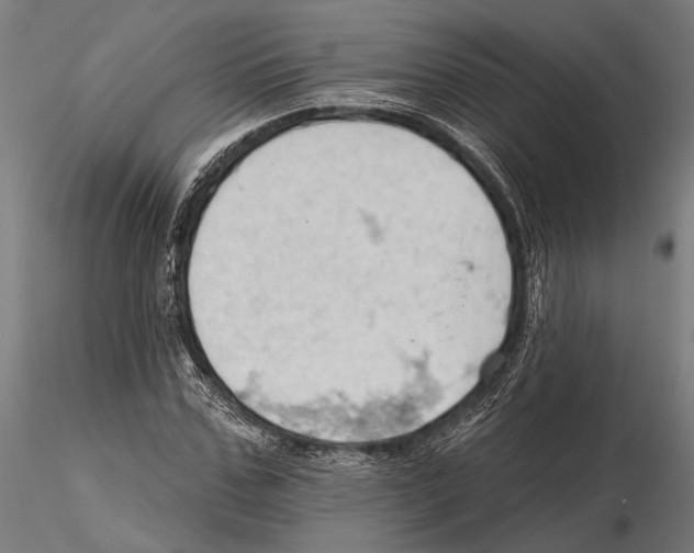 X0000115590971200912081045