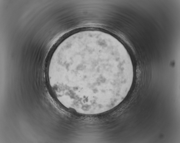 X0000115590972200912081045