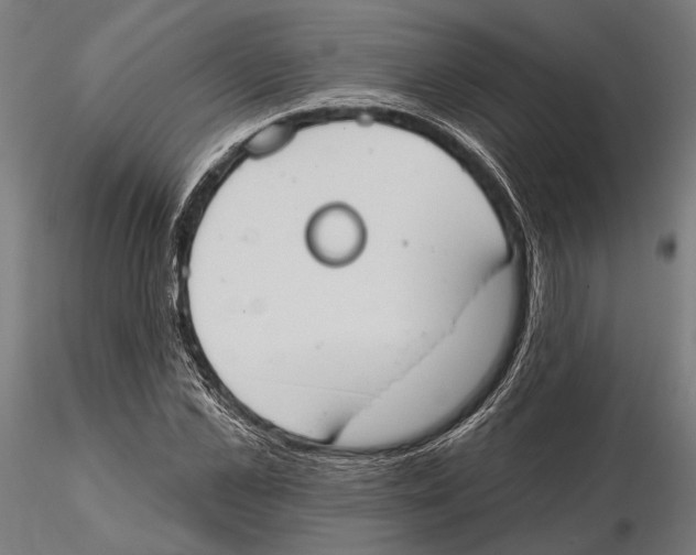 X0000115590973200912081045
