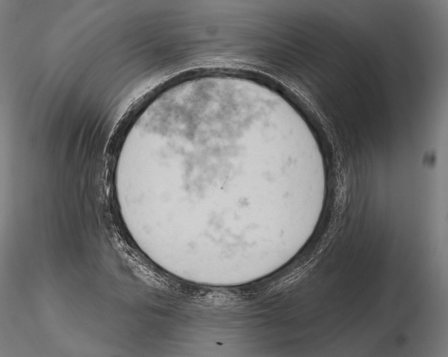 X0000115590974200912081045