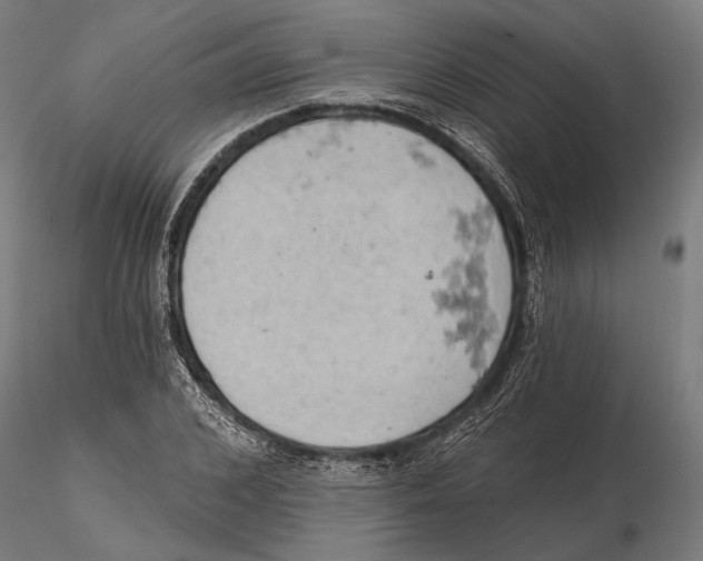 X0000115590976200912081045