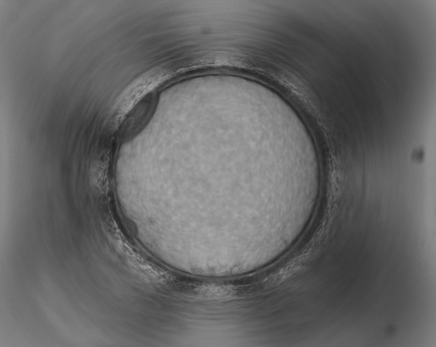 X0000115590977200912081045