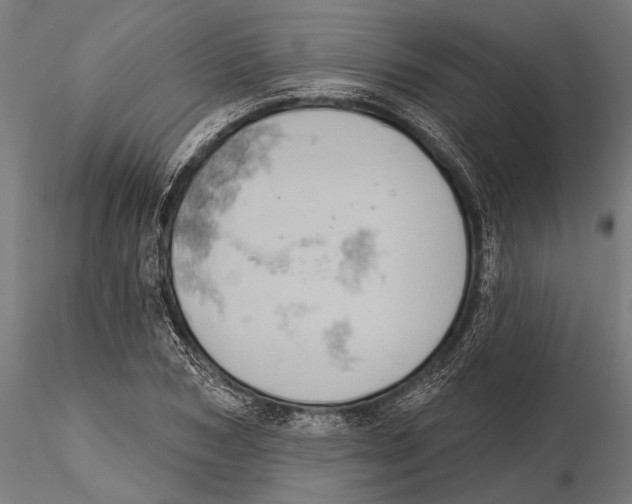 X0000115590978200912081045