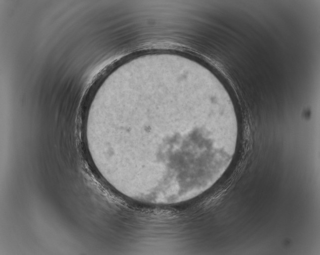 X0000115590979200912081045