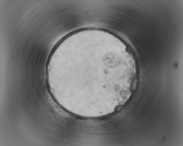 X0000115590980200912081045