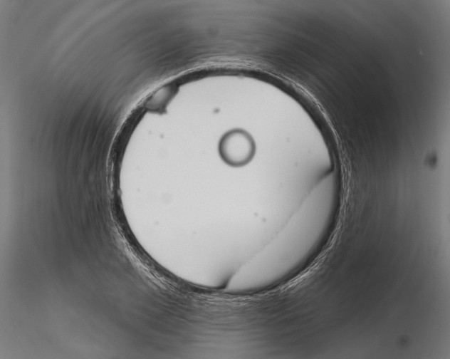 X0000115590981200912081045