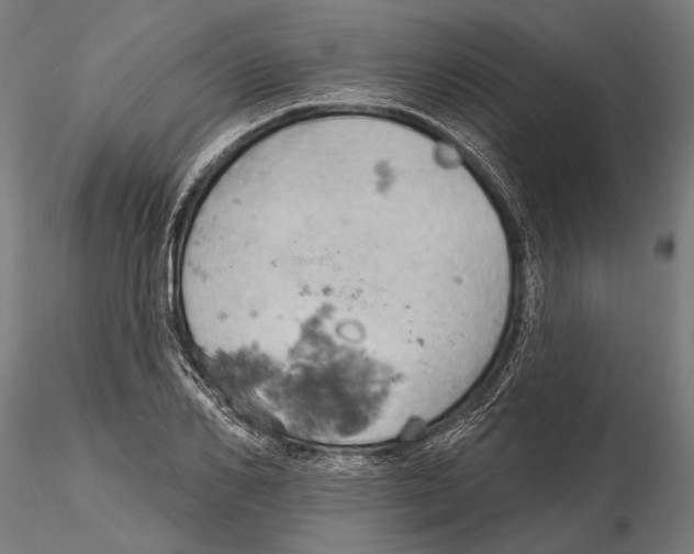 X0000115590982200912081045