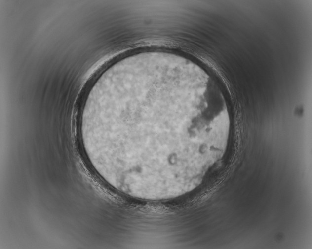 X0000115590983200912081045