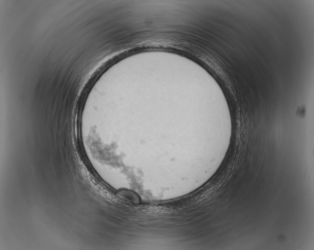X0000115590984200912081045