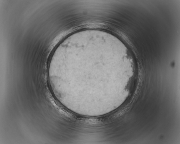 X0000115590986200912081045