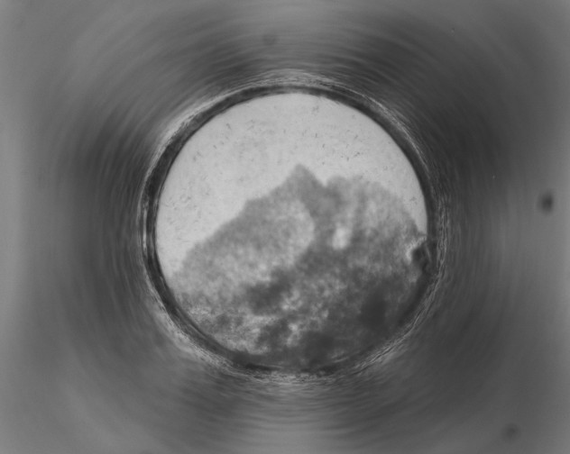 X0000115590987200912081045