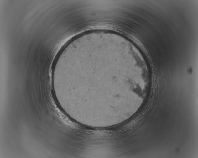 X0000115590988200912081045