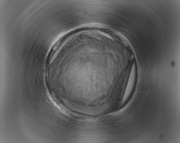 X0000115590989200912081045
