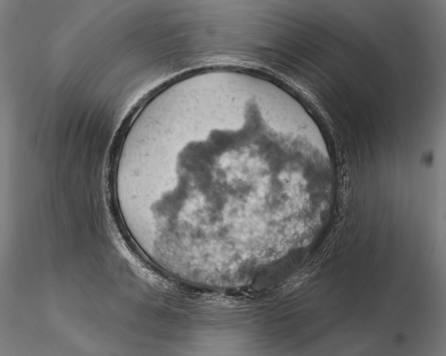 X0000115590991200912081045