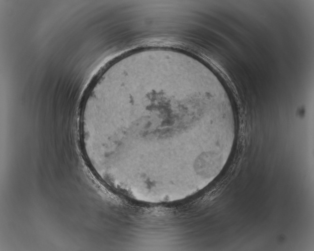 X0000115590992200912081045