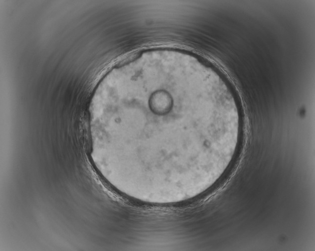 X0000115590993200912081045