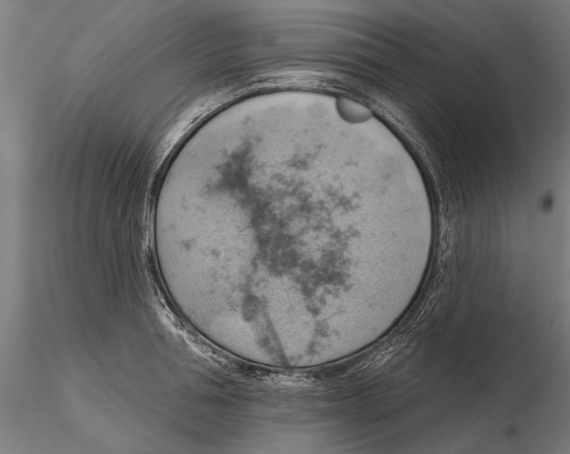 X0000115590994200912081045