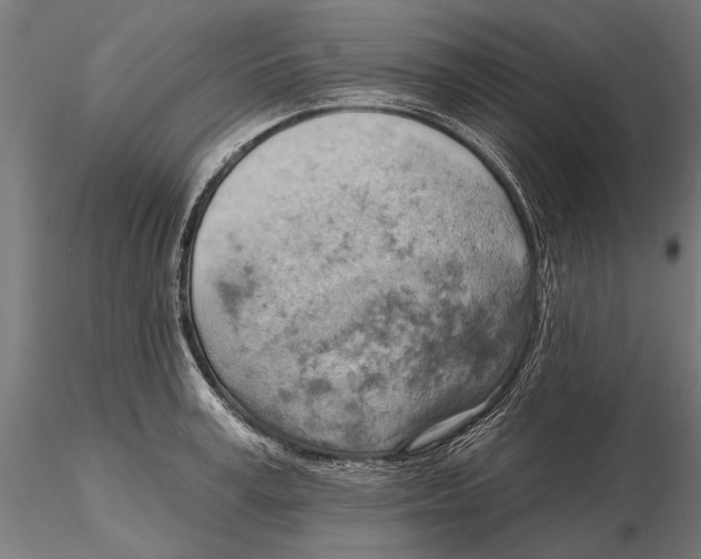 X0000115590995200912081045