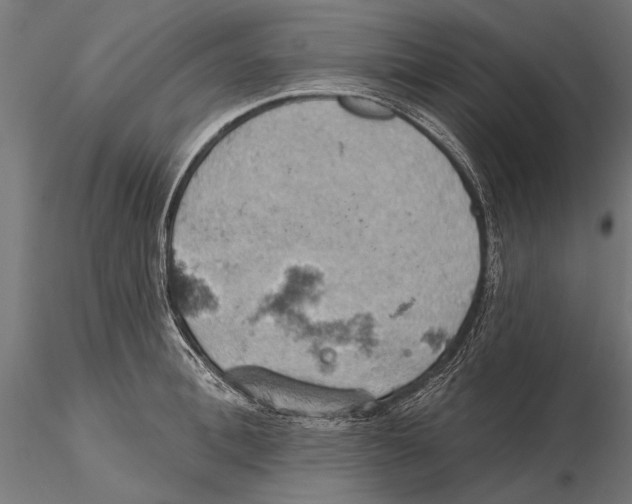 X0000115590996200912081045