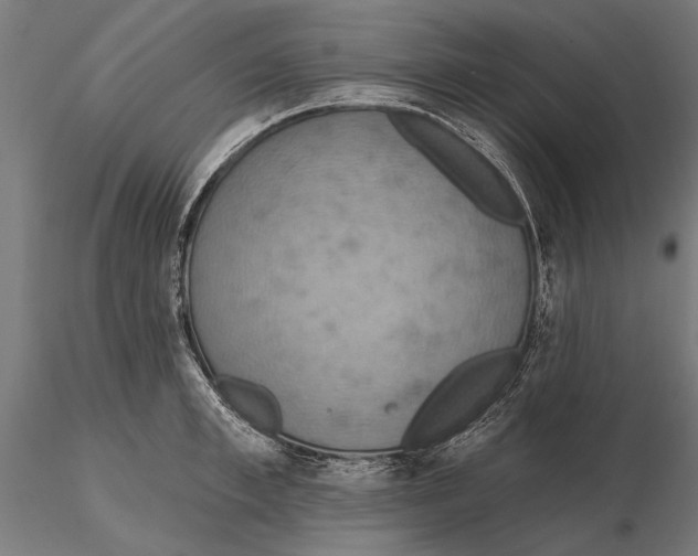 X0000115590997200912081045